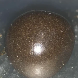 authentic temple ball tek hash 4saleauthentic temple ball tek hash 4sale