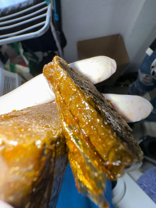 Indica vs Sativa Hash Best Hash for Pain Sleep & Relaxation